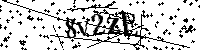 Por favor, escriba las letras y los números siguientes