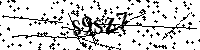 Por favor, escriba las letras y los números siguientes