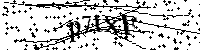 Por favor, escriba las letras y los números siguientes