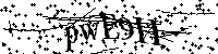 Por favor, escriba las letras y los números siguientes