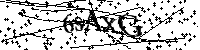 Por favor, escriba las letras y los números siguientes
