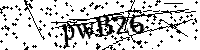 Por favor, escriba las letras y los números siguientes
