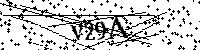 Por favor, escriba las letras y los números siguientes