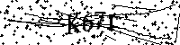 Por favor, escriba las letras y los números siguientes