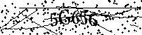 Por favor, escriba las letras y los números siguientes