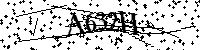Por favor, escriba las letras y los números siguientes