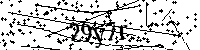 Por favor, escriba las letras y los números siguientes