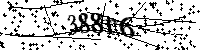 Por favor, escriba las letras y los números siguientes