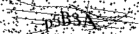 Por favor, escriba las letras y los números siguientes