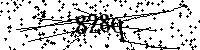 Por favor, escriba las letras y los números siguientes