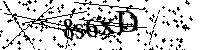 Por favor, escriba las letras y los números siguientes
