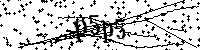 Por favor, escriba las letras y los números siguientes