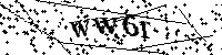 Por favor, escriba las letras y los números siguientes