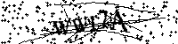 Por favor, escriba las letras y los números siguientes