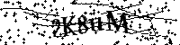 Por favor, escriba las letras y los números siguientes