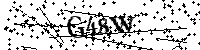 Por favor, escriba las letras y los números siguientes