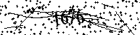 Por favor, escriba las letras y los números siguientes