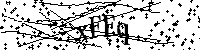Por favor, escriba las letras y los números siguientes