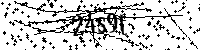 Por favor, escriba las letras y los números siguientes