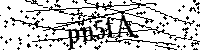 Por favor, escriba las letras y los números siguientes