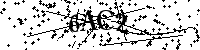Por favor, escriba las letras y los números siguientes