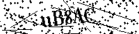 Por favor, escriba las letras y los números siguientes