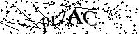 Por favor, escriba las letras y los números siguientes