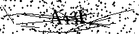 Por favor, escriba las letras y los números siguientes