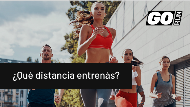 Go Running Newsletter